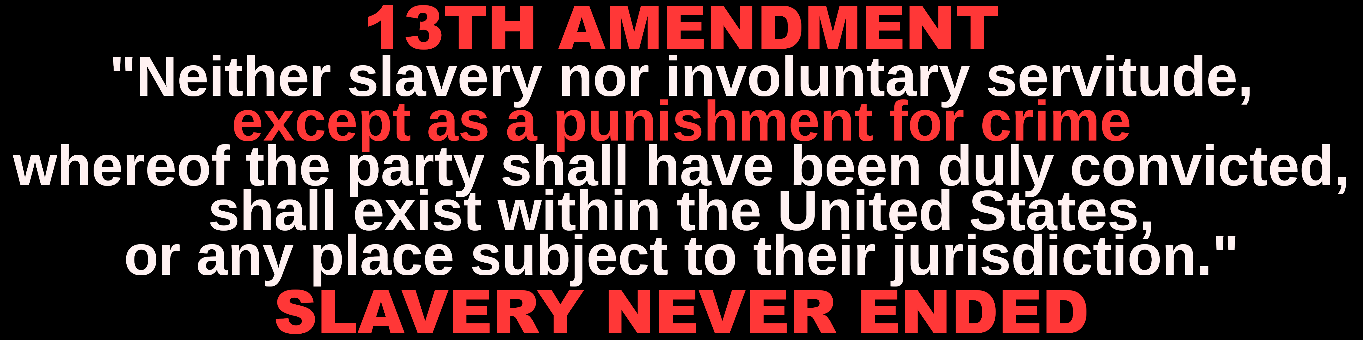 13th_Amendment_bumpersticker-1
